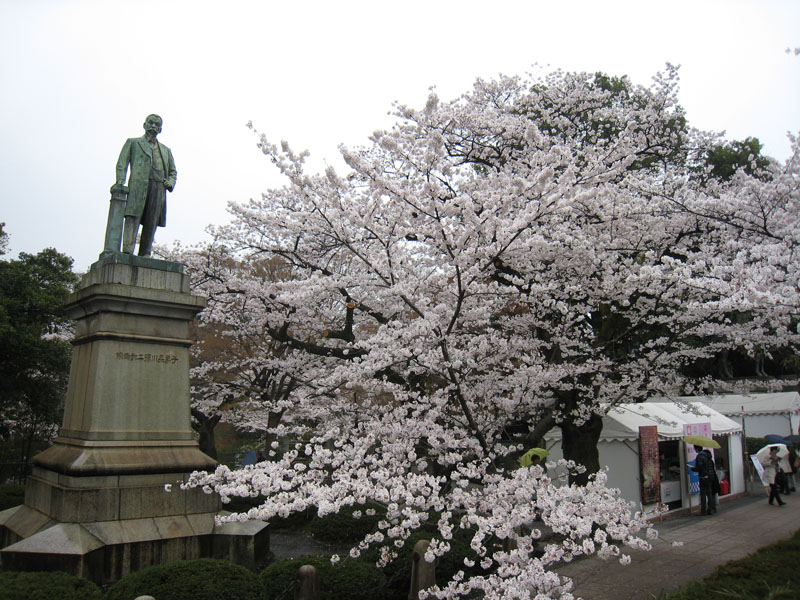 f:id:japojp:20130325144638j:image:w330