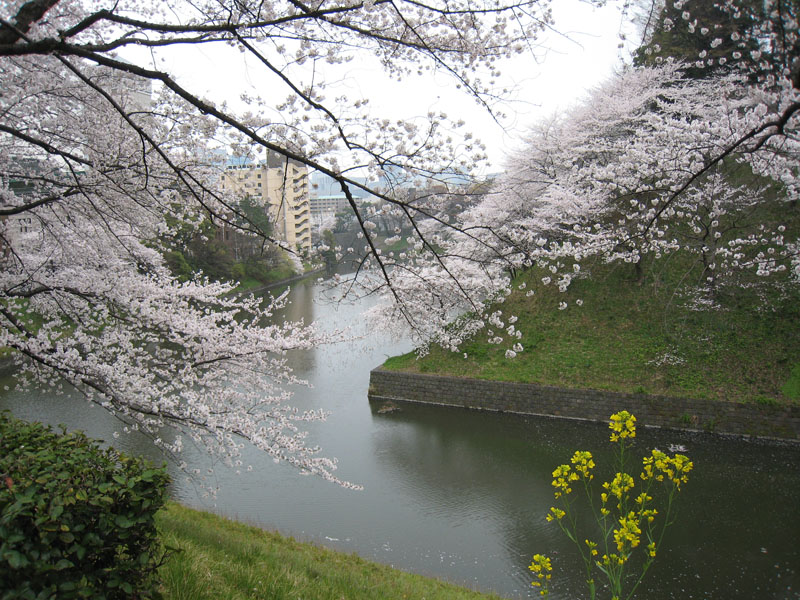 f:id:japojp:20130325144640j:image:w330