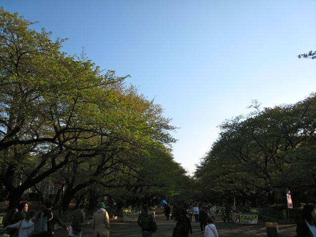 f:id:japojp:20130413222810j:image:w330