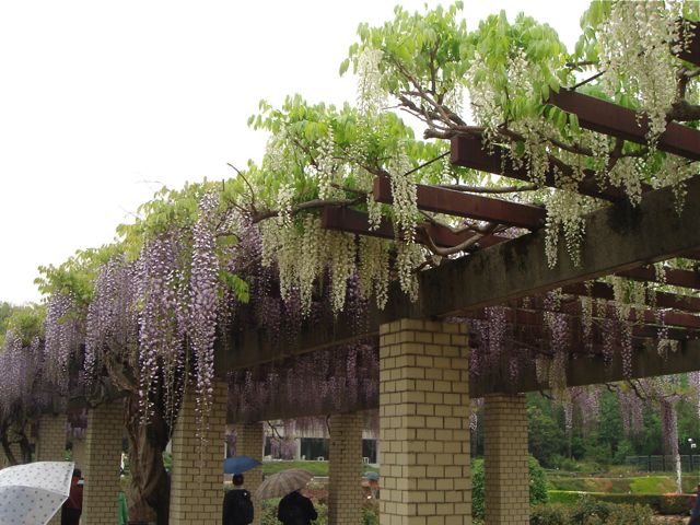 f:id:japojp:20130428112212j:image:w350