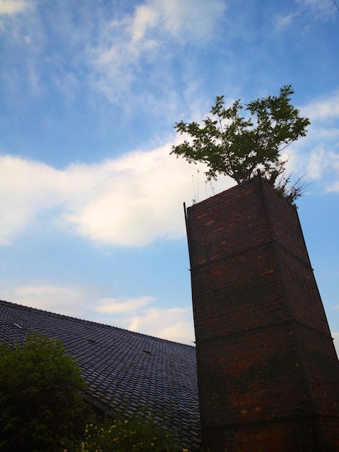 f:id:japojp:20130623165855j:image:w200