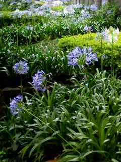 f:id:japojp:20130705132816j:image:w250
