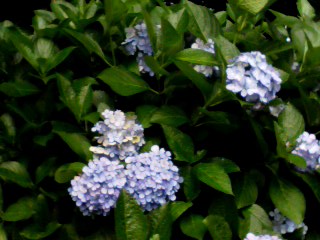 f:id:japojp:20130705132817j:image:w250