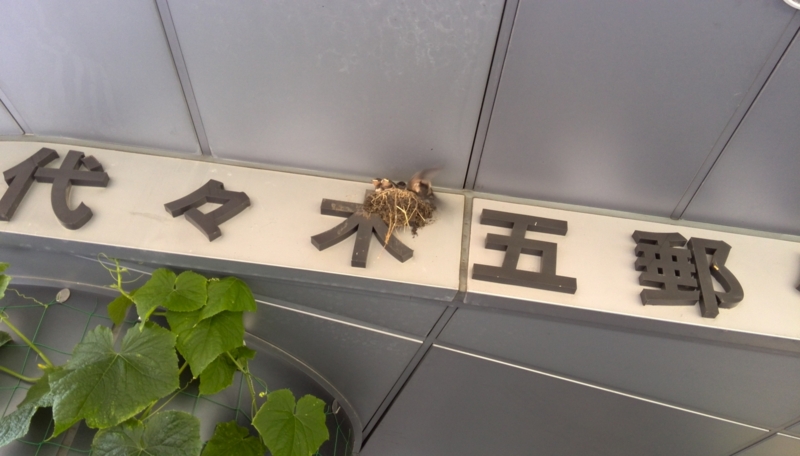 f:id:japojp:20130708174732j:image:w360