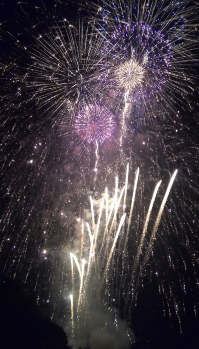f:id:japojp:20130821165143j:image:w250