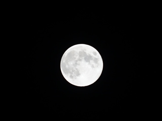 f:id:japojp:20130920144355j:image:w300