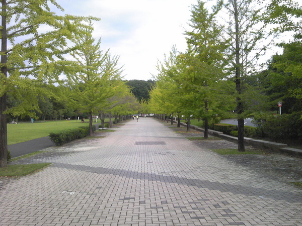 f:id:japojp:20131006183506j:image:w400
