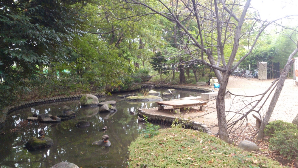 f:id:japojp:20131102230515j:image:w300