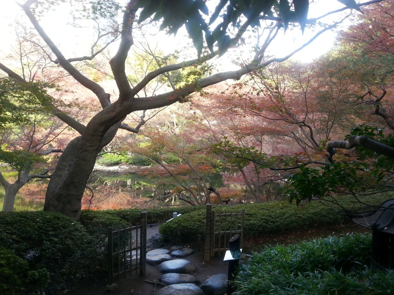 f:id:japojp:20131130213613j:image:w360 f:id:japojp:20131130213613j:image:w360