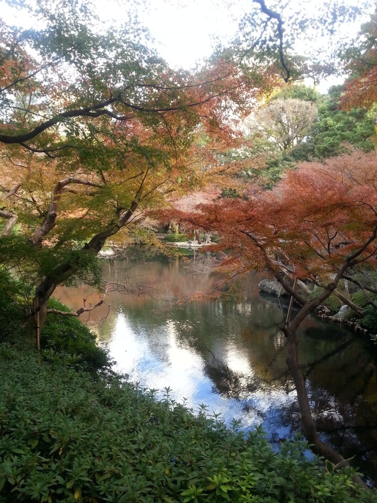 f:id:japojp:20131130213615j:image:w360 f:id:japojp:20131130213615j:image:w360