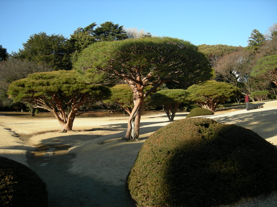 f:id:japojp:20140121060845j:image:w200