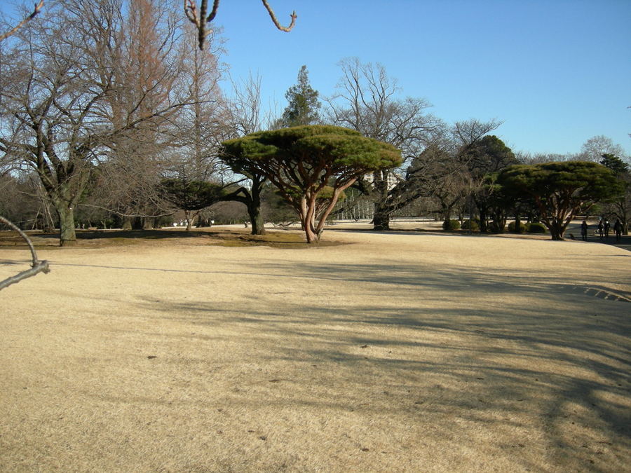 f:id:japojp:20140121060847j:image:w200