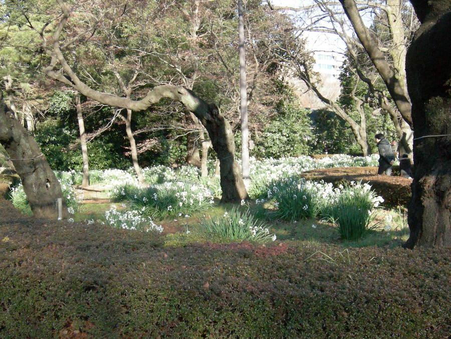 f:id:japojp:20140121064522j:image:w200