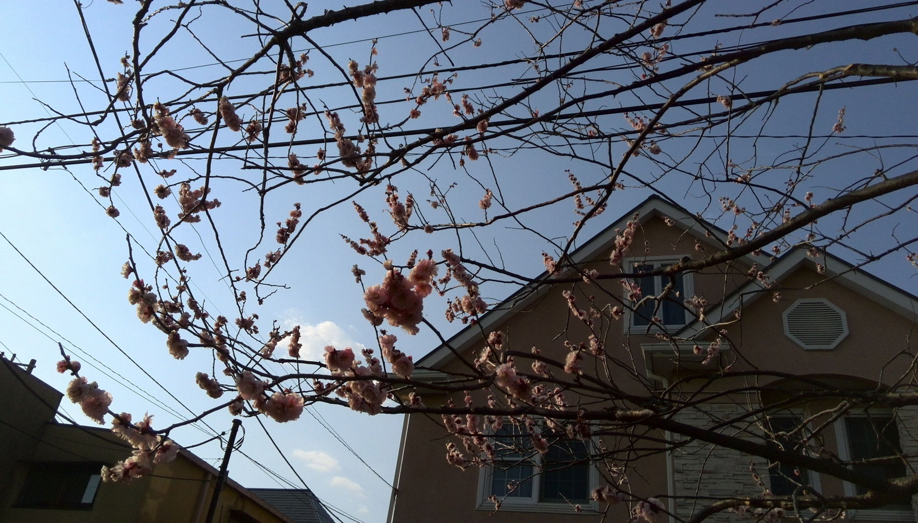 f:id:japojp:20140317121159j:image:w360 f:id:japojp:20140317121159j:image:w360