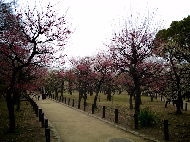 f:id:japojp:20140321020857j:image:w400