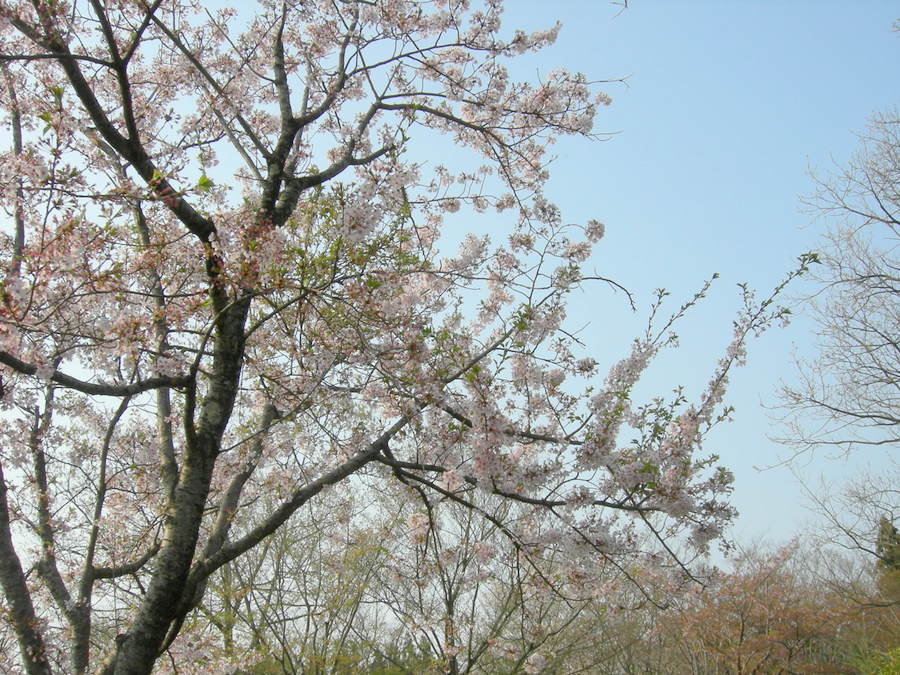 f:id:japojp:20140508094447j:image:w400