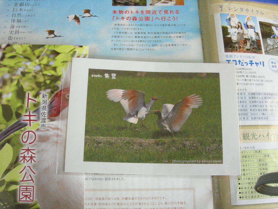 f:id:japojp:20140508094735j:image:w400