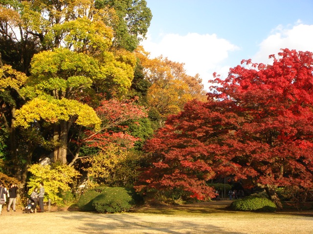 f:id:japojp:20141127001707j:image:w420
