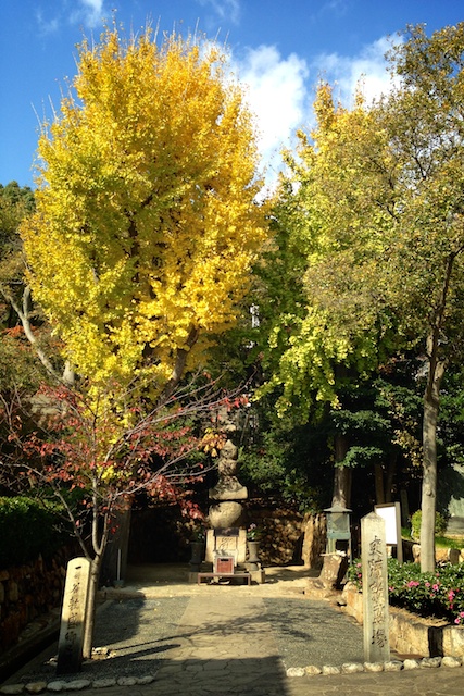 f:id:japojp:20141222094050j:image:w400