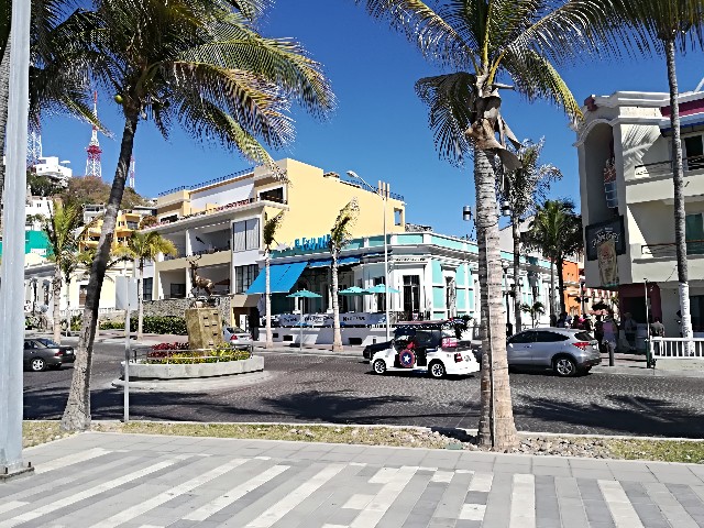 f:id:japonesaenmexico:20190203082319j:image f:id:japonesaenmexico:20190203082319j:image