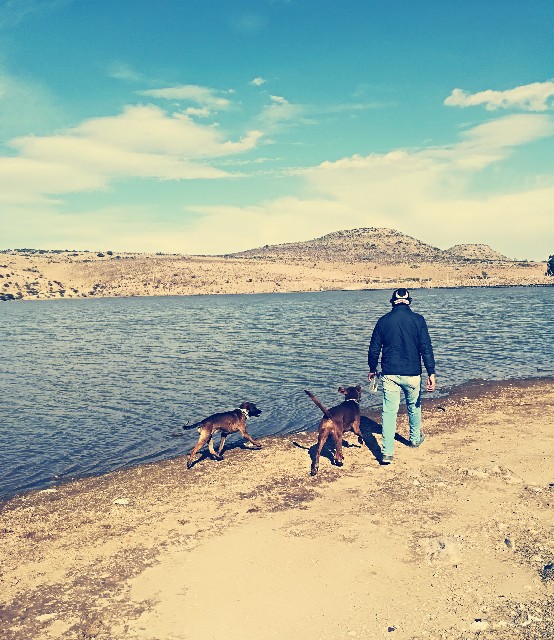 f:id:japonesaenmexico:20190213124559j:image f:id:japonesaenmexico:20190213124559j:image