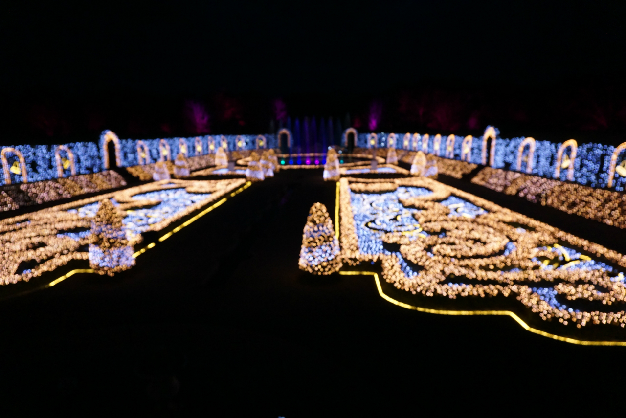 イルミネーション