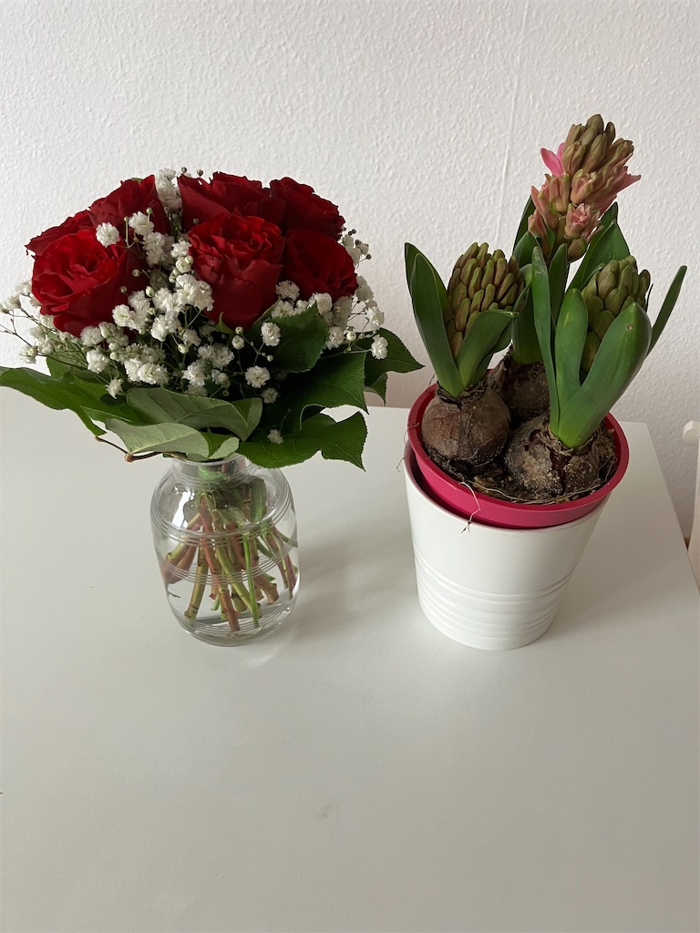 f:id:jasmin_rose:20260221233806j:image f:id:jasmin_rose:20260221233806j:image