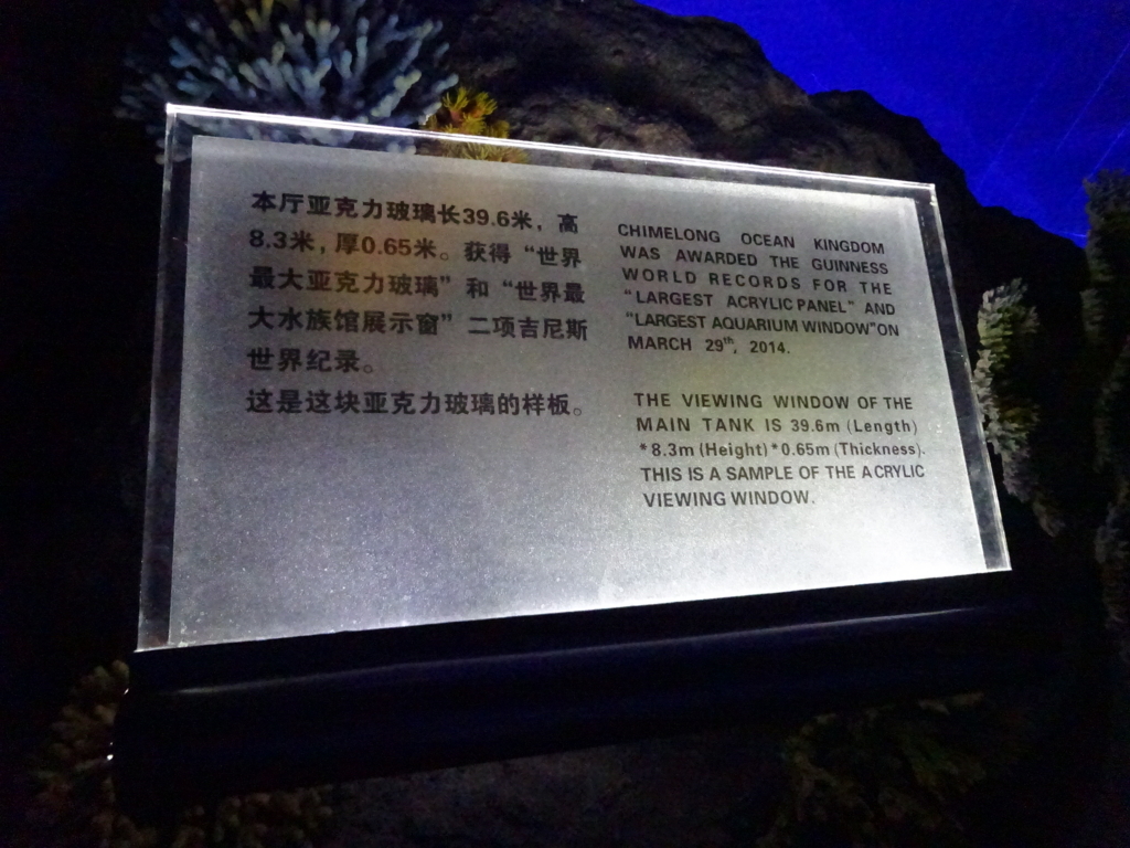 f:id:jasmine12131118:20170827163250j:plain f:id:jasmine12131118:20170827163250j:plain