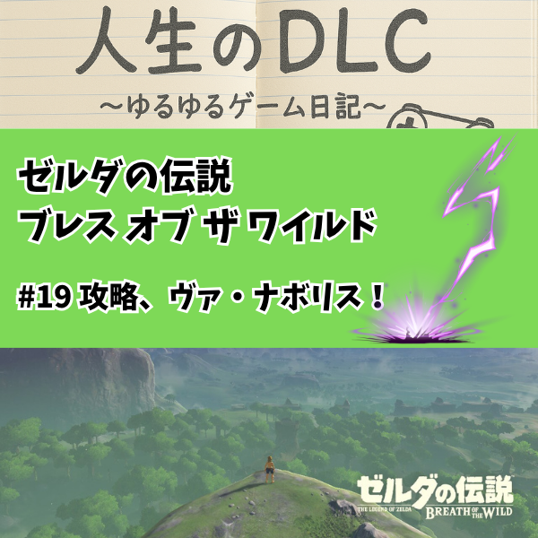 ゼルダの伝説 ブレスオブザワイルド_19【攻略、ヴァ・ナボリス
