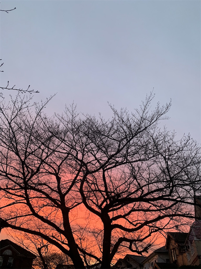 f:id:jasminerain14:20241226082131j:image