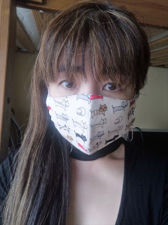 f:id:jasminic:20200409221746j:plain f:id:jasminic:20200409221746j:plain