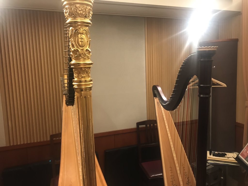 音楽療法の勉強会をしました ロングヘアなハープ奏者になる