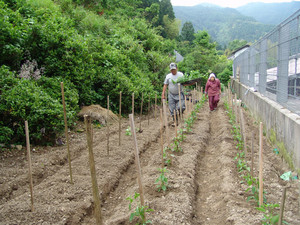 f:id:jaumajimura:20070529141958j:image