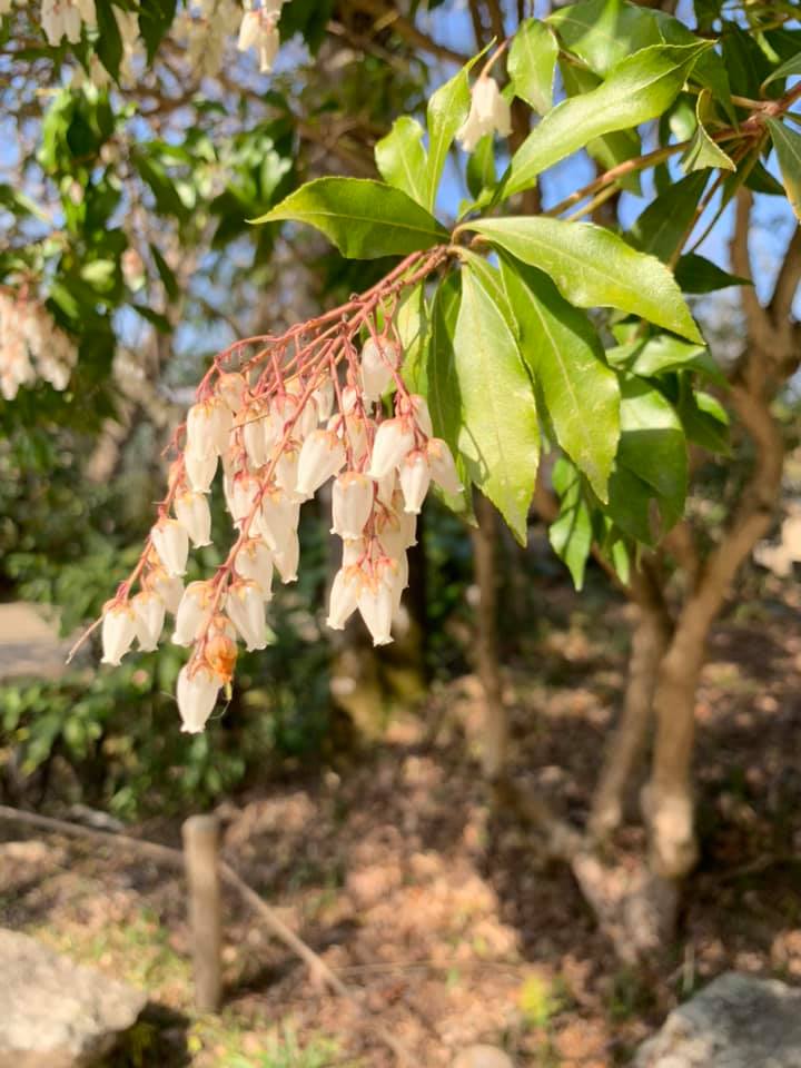 f:id:javalousty:20190318200229j:plain