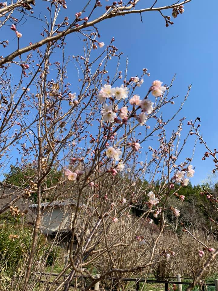 f:id:javalousty:20190318200237j:plain
