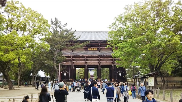 f:id:jawa_jawa:20190512012652j:plain f:id:jawa_jawa:20190512012652j:plain