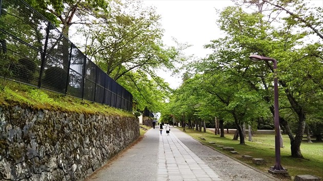 f:id:jawa_jawa:20190512012707j:plain f:id:jawa_jawa:20190512012707j:plain