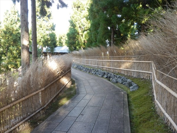 f:id:jawa_jawa:20201101235400j:plain f:id:jawa_jawa:20201101235400j:plain