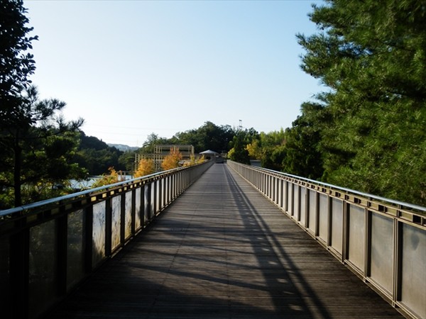 f:id:jawa_jawa:20201101235408j:plain f:id:jawa_jawa:20201101235408j:plain