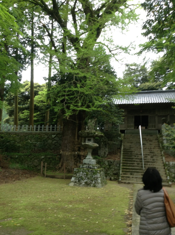 f:id:jaxtudo:20130501102352j:image