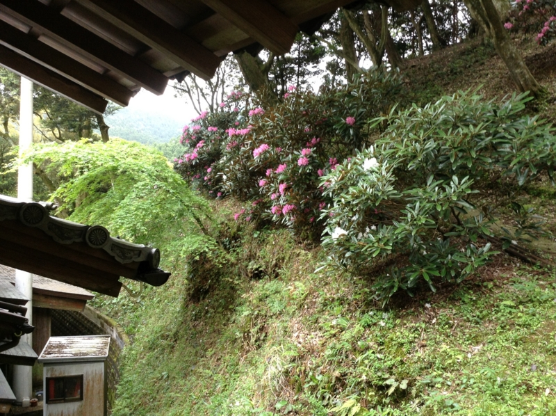 f:id:jaxtudo:20130501105923j:image