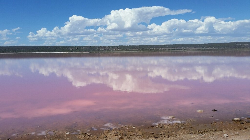 f:id:jay0308:20170301182624j:plain