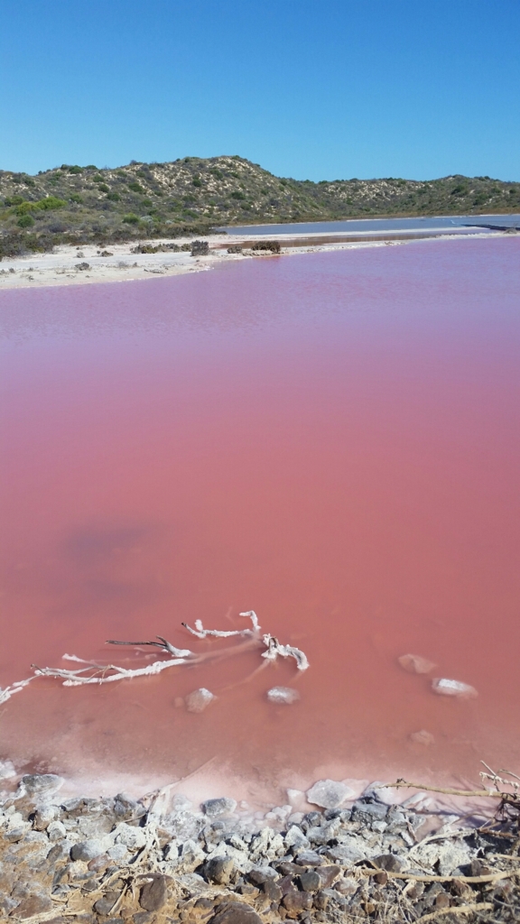 f:id:jay0308:20170301182710j:plain