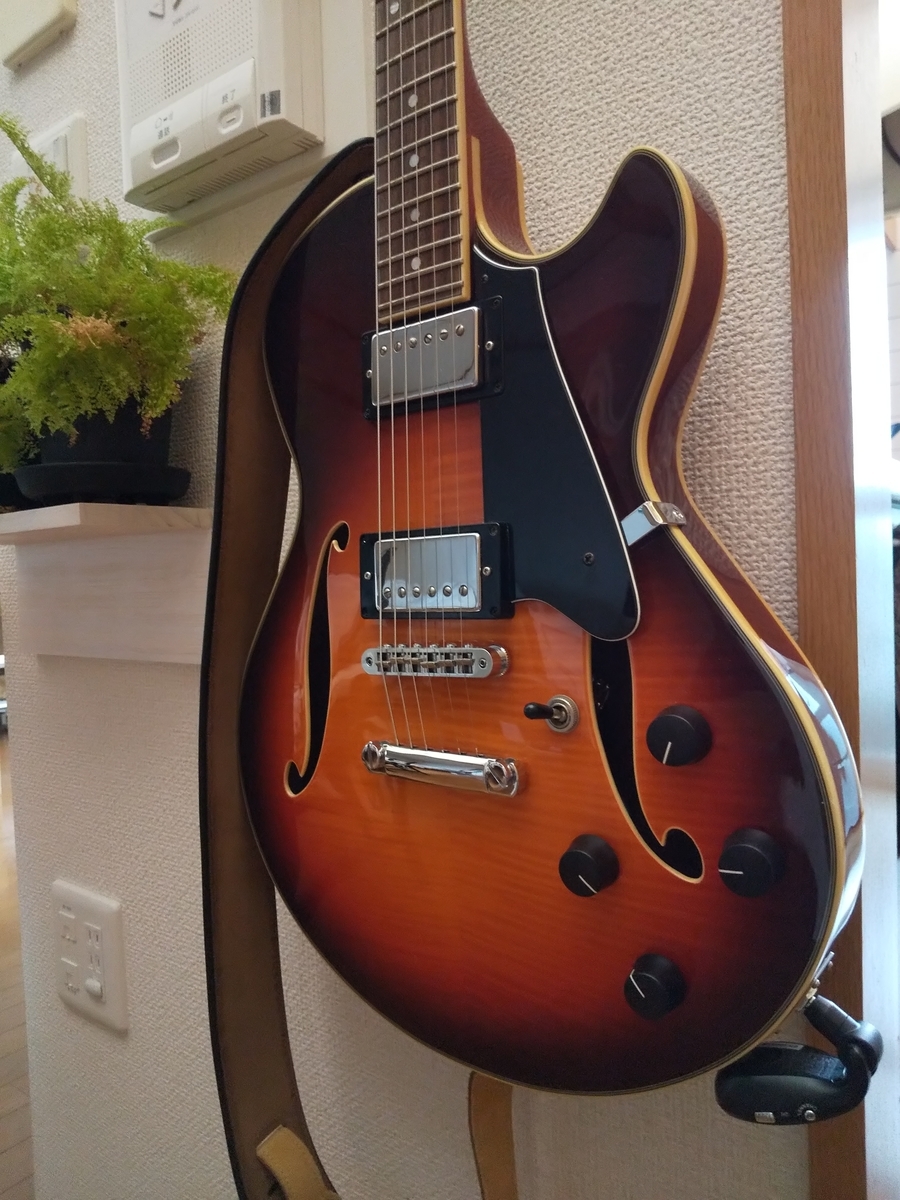 f:id:jazzguitar251:20200401182346j:plain