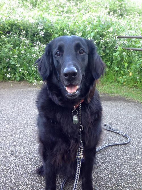 f:id:jazzvocal:20190302190044j:plain