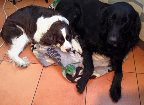 f:id:jazzvocal:20190302190143j:plain