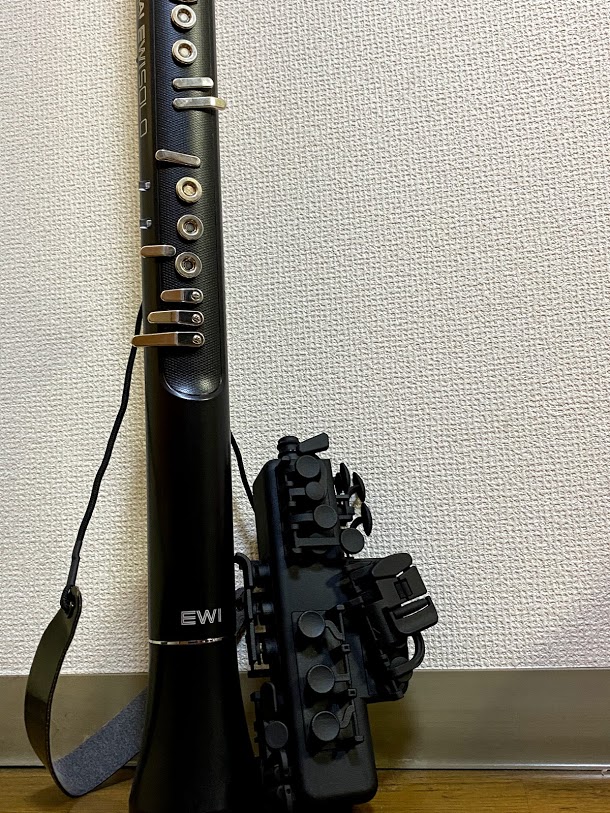 f:id:jazzwombat:20210207234637j:plain