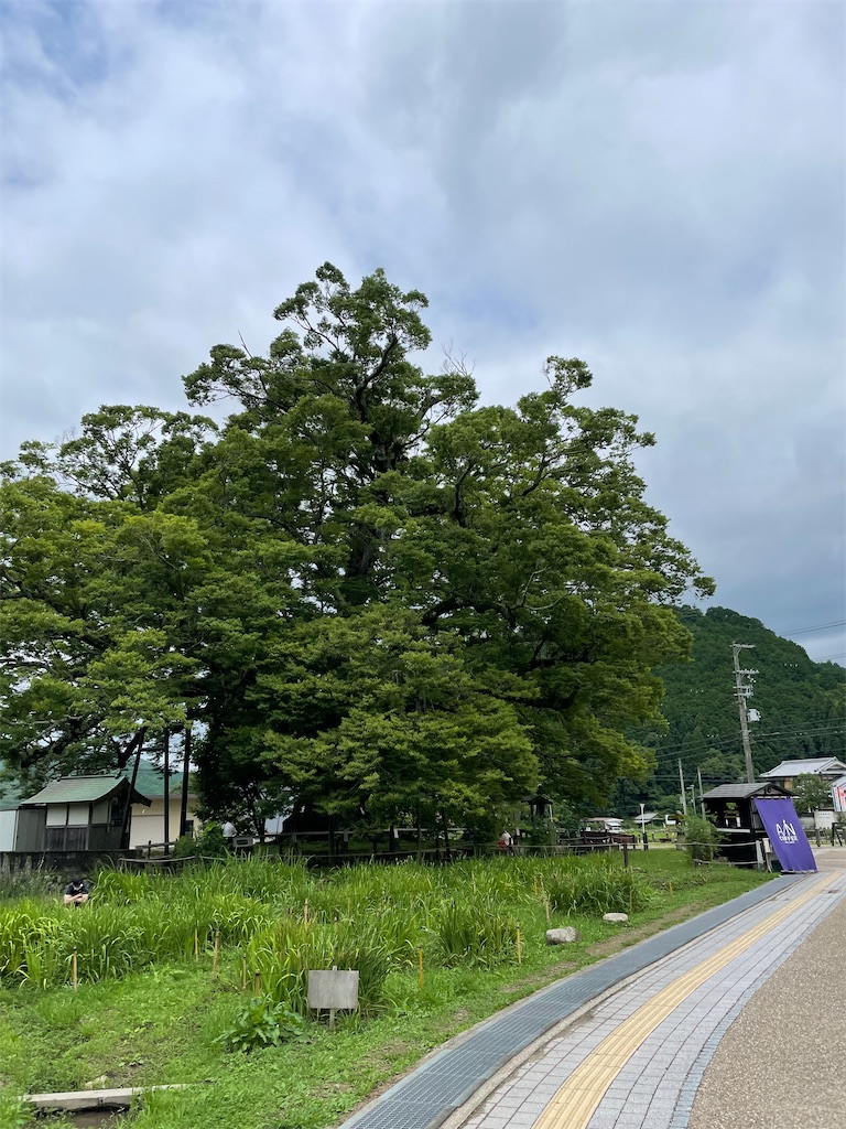 f:id:jb-64:20210708214207j:image