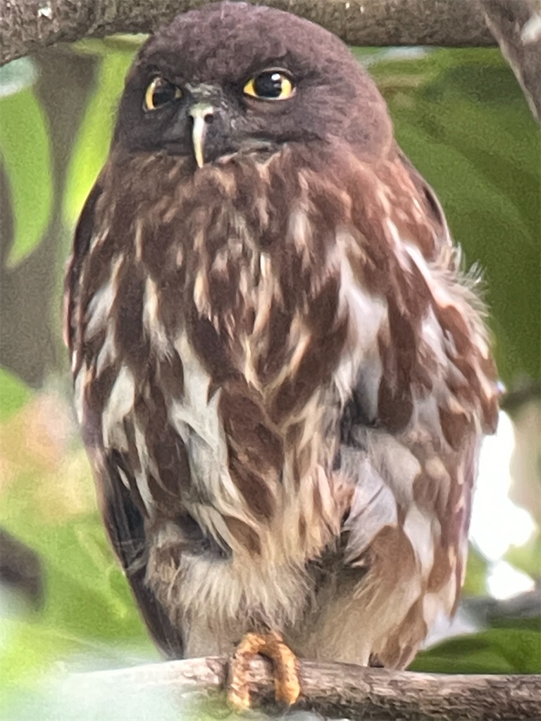 f:id:jb-64:20210708214916j:image