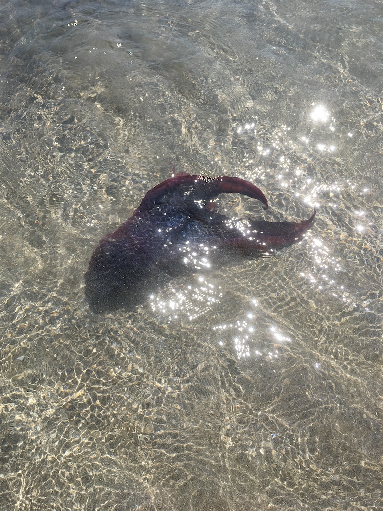 f:id:jb-64:20210721191925j:image